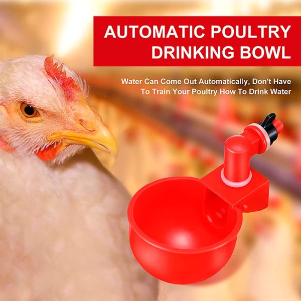 ChickenBowl, napajalnik za kokoši in ostalo perutnino (6 kosov)