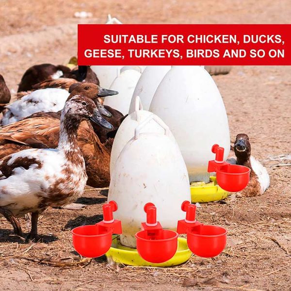 ChickenBowl, napajalnik za kokoši in ostalo perutnino (6 kosov)