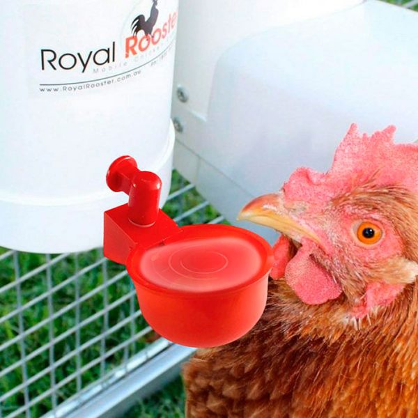 ChickenBowl, napajalnik za kokoši in ostalo perutnino (6 kosov)