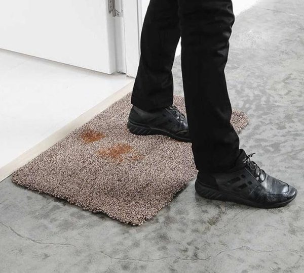 SuperStep, preproga, ki očisti podplate in tačke samo z enim korakom