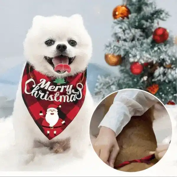 Bandana, božična ruta za pse